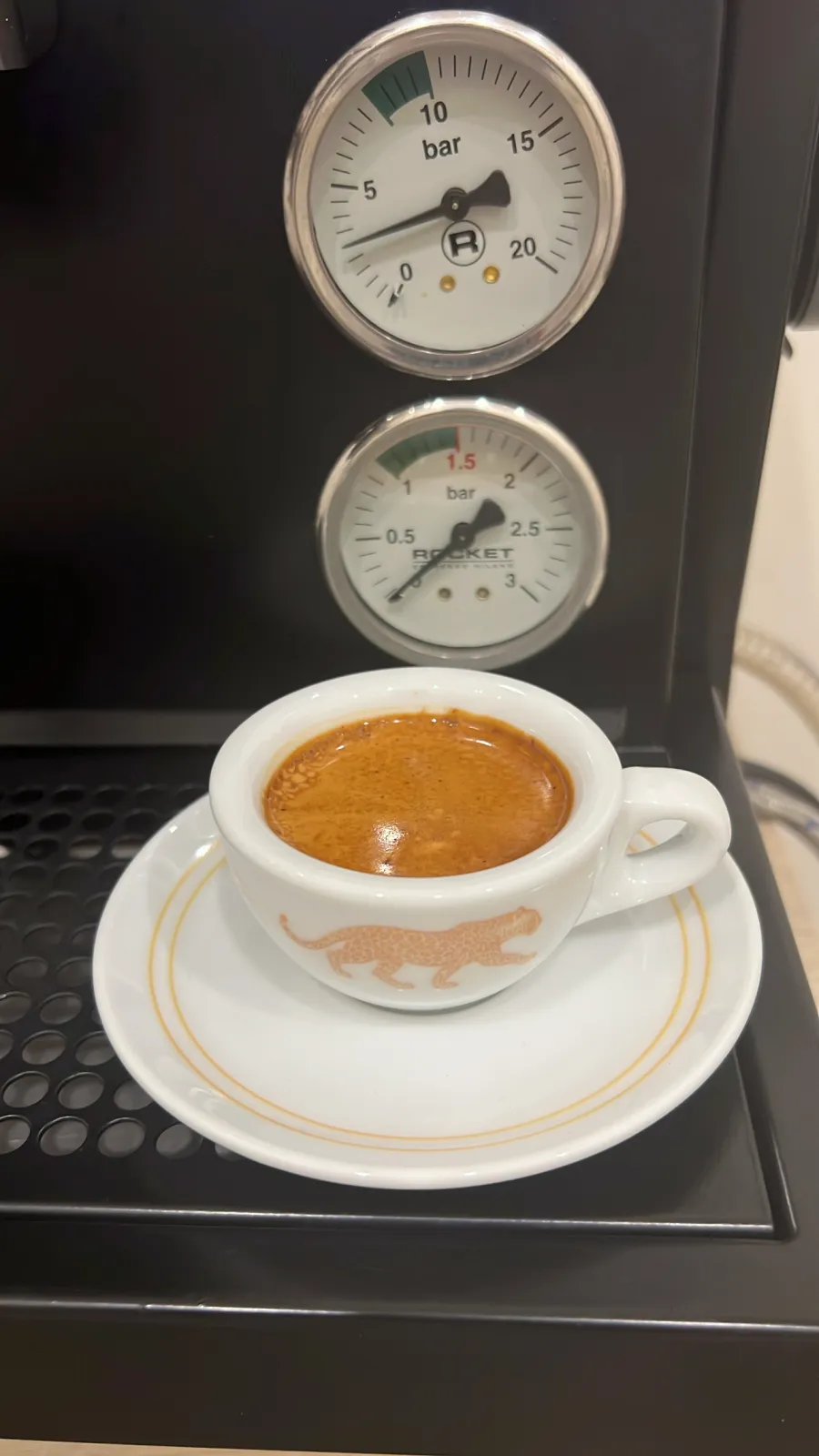 اسبريسو اثيوبي يناسب المعالجات اللاهوائي والمجفف
